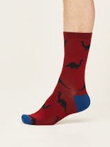 Thought Dinosaur Socks UK 7-11